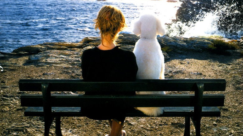 кадр из фильма Любить по-французски