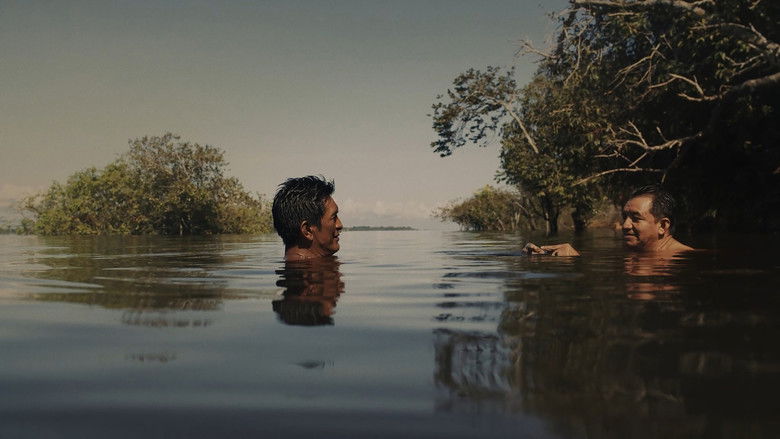 кадр из фильма À Sombra do Sol