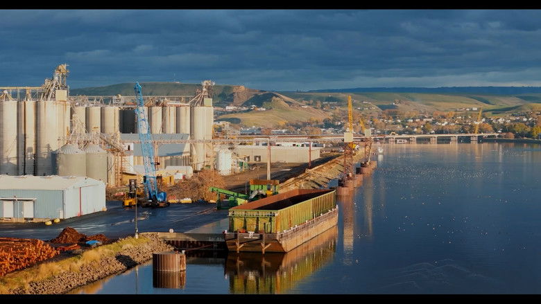 кадр из фильма The Snake and the Whale