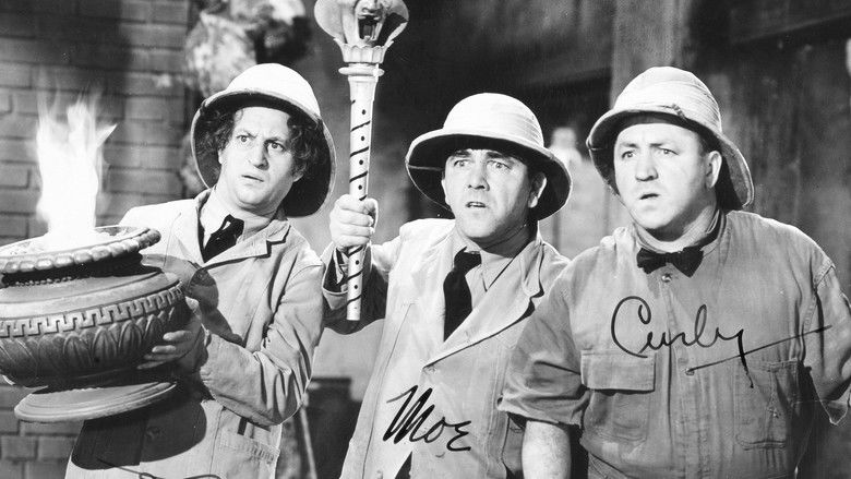 кадр из фильма We Want Our Mummy