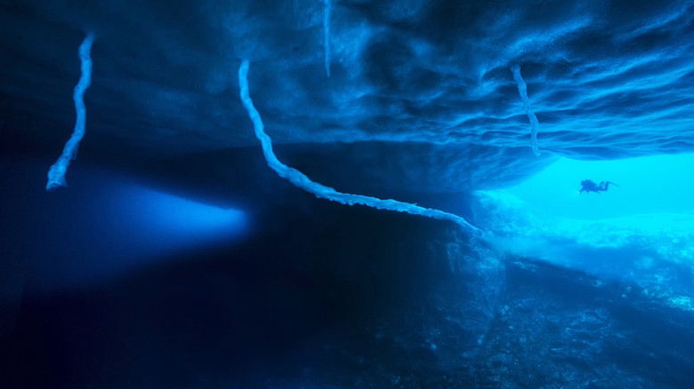 кадр из фильма Antarctica, sur les traces de l'empereur