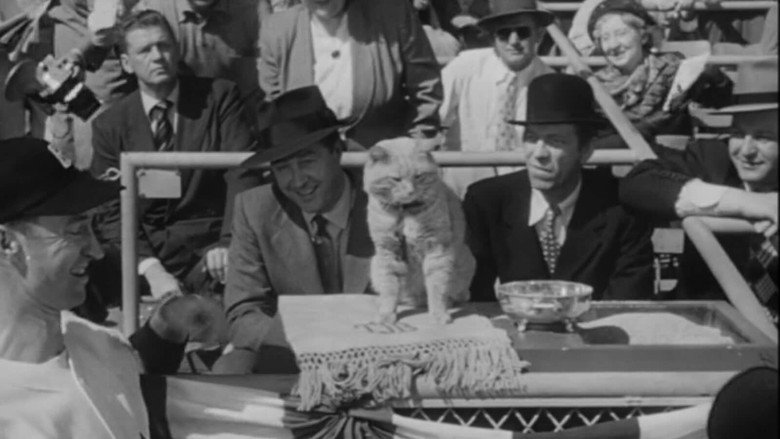 кадр из фильма Rhubarb