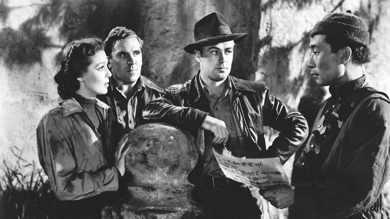 кадр из фильма China