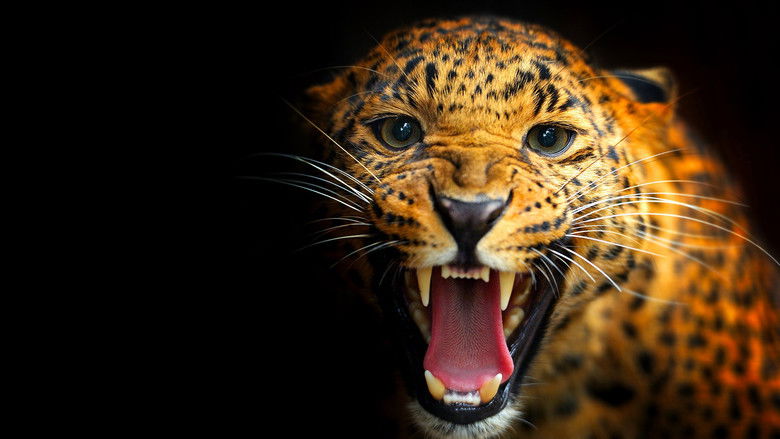 кадр из фильма Unter Raubkatzen und Ameisenbären