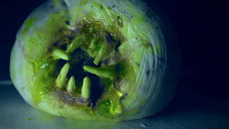 кадр из фильма Attack of the Killer Donuts