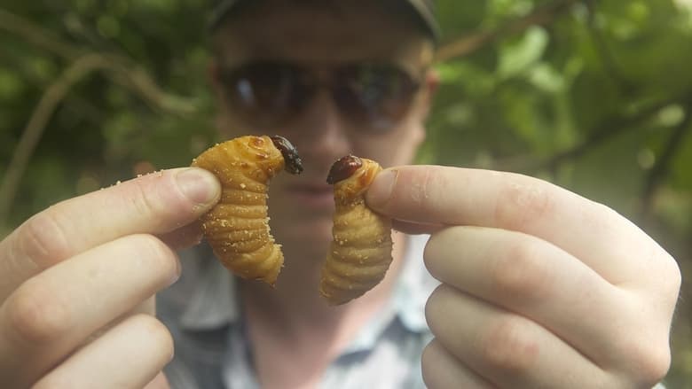 кадр из фильма Bugs