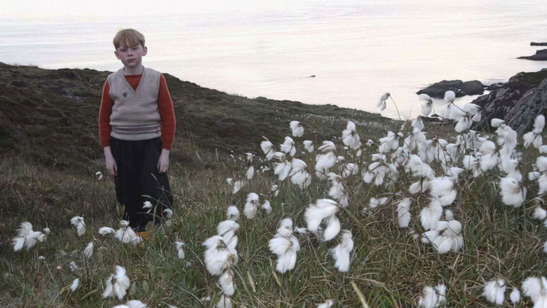 кадр из фильма Сияние радуги