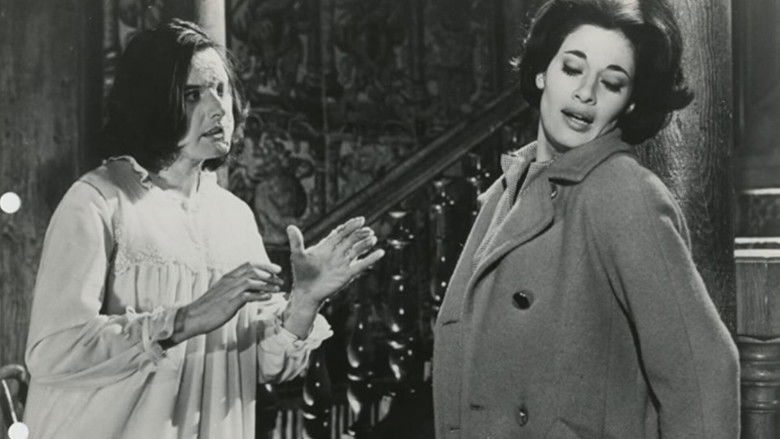 кадр из фильма Проклятие мухи