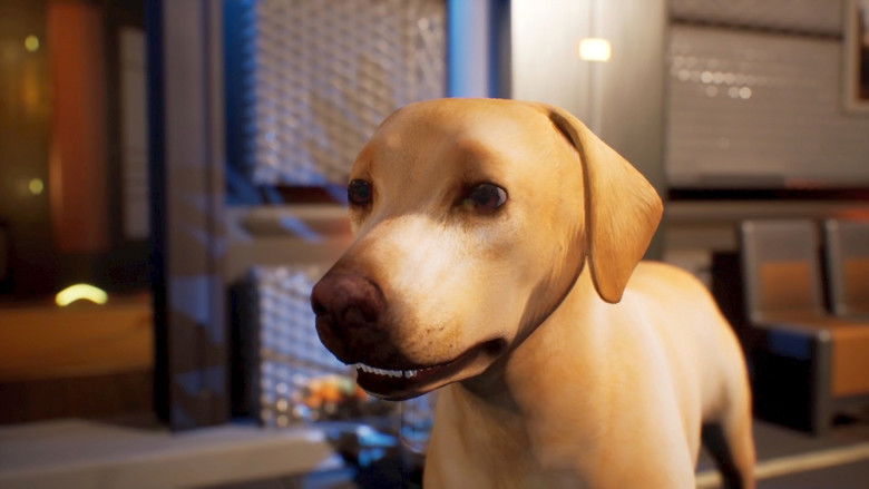 кадр из фильма Avenger Dogs