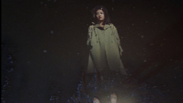 кадр из фильма 天使のはらわた 赤い教室