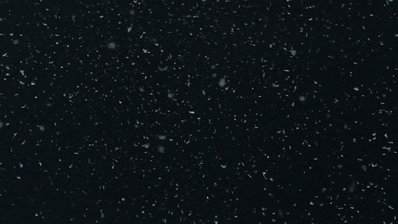 кадр из фильма Любовь до смерти