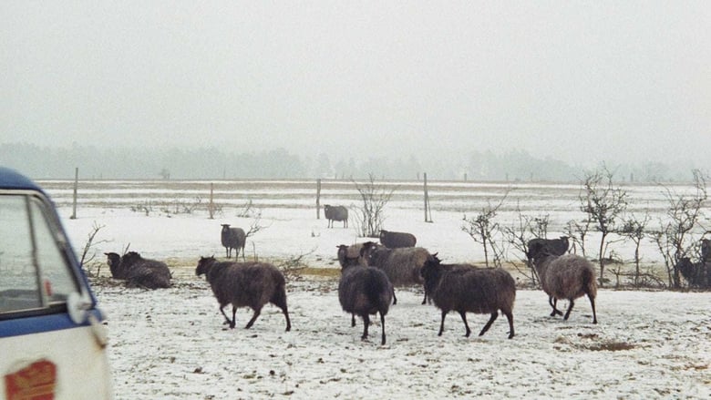 кадр из фильма Fårödokument 1970