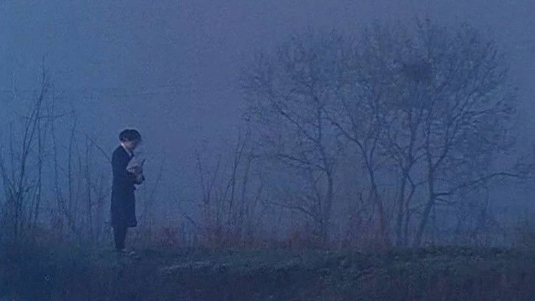 кадр из фильма 눈물