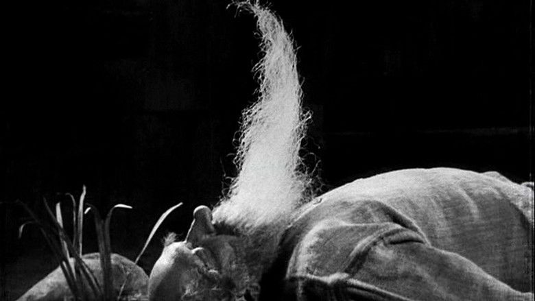 кадр из фильма Счастье