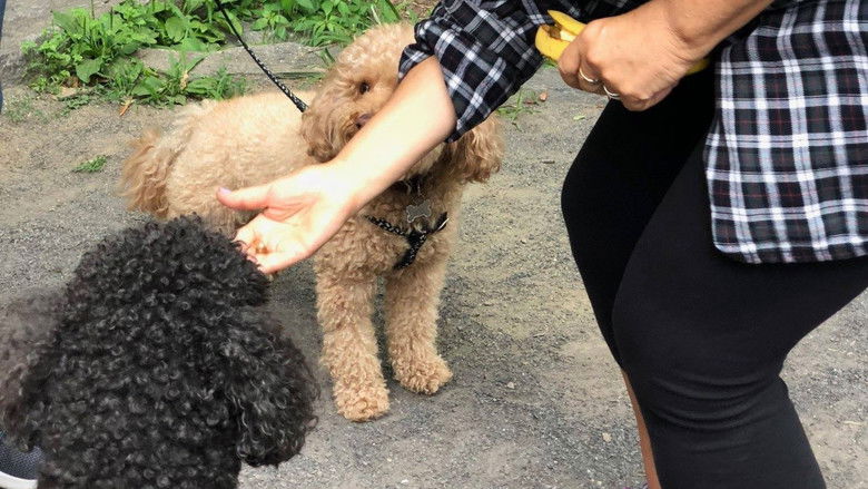 кадр из фильма The Egos: Summer of Drake