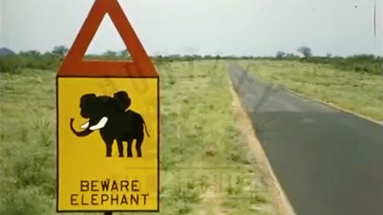 кадр из фильма The Elephant & the Room