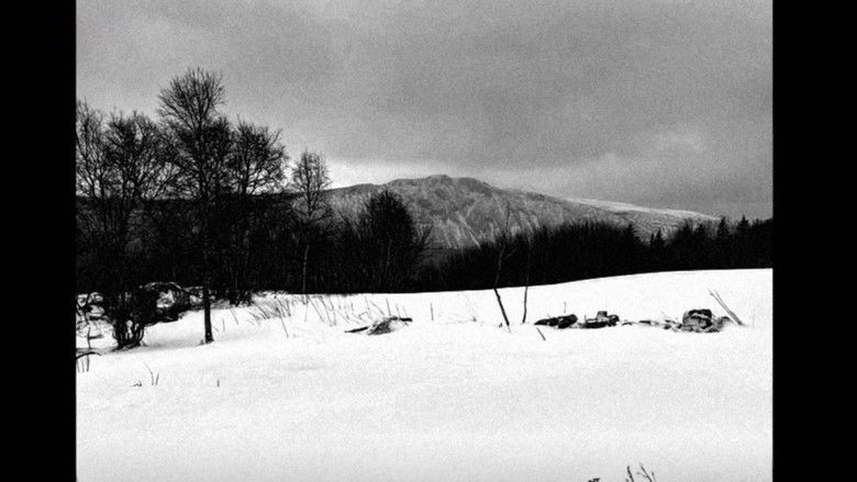 кадр из фильма Tullingen