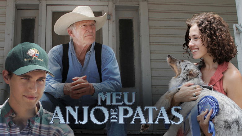 кадр из фильма My Dog the Champion