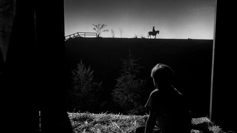 Ночь охотника