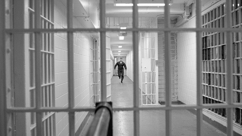 кадр из фильма Dissonance