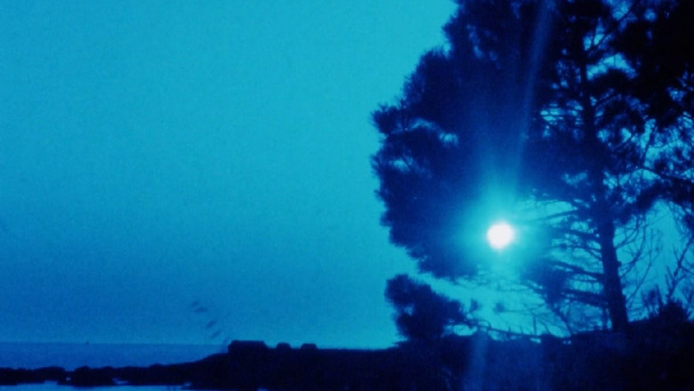 кадр из фильма Matter of Clarity