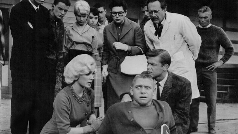 кадр из фильма Sex Kittens Go to College