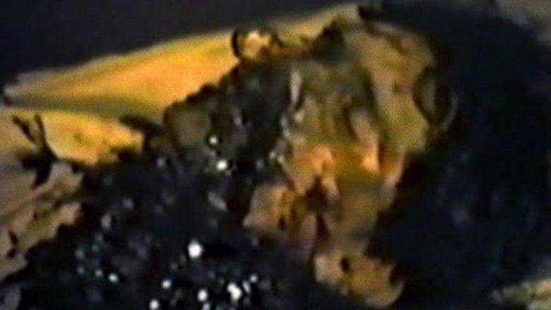 кадр из фильма В  лесу