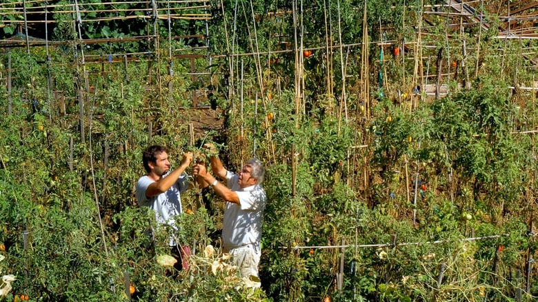 кадр из фильма Le potager de mon grand-père