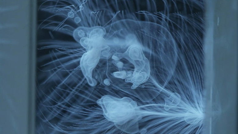 кадр из фильма Voyage sur les flots célestes : Les Cartographes de l'Univers