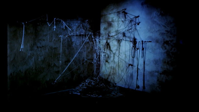 кадр из фильма Undo