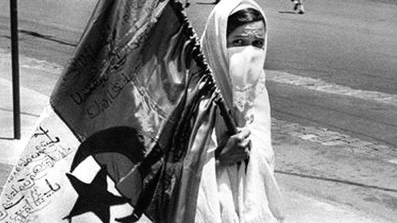 кадр из фильма Moudjahidate