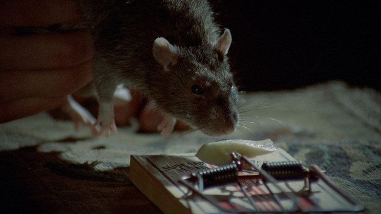 кадр из фильма Из породы убийц