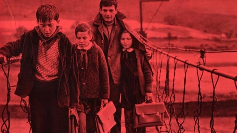 кадр из фильма Lumë drite