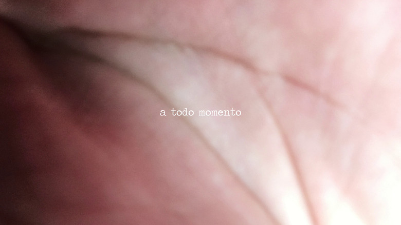 кадр из фильма Legítima Defesa