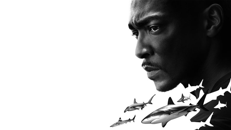 кадр из фильма Акулий пляж с Энтони Маки: Мексиканский залив