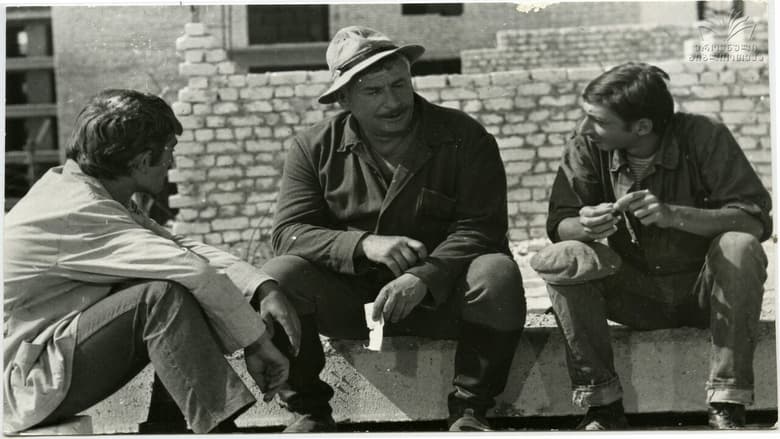 кадр из фильма Свет в наших окнах