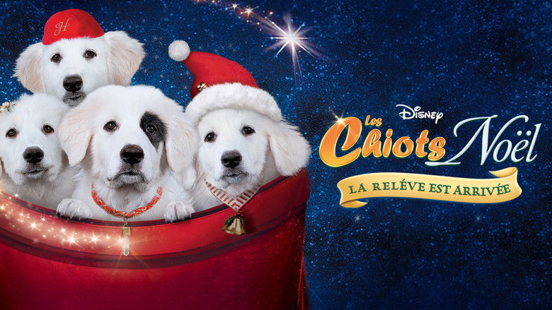 кадр из фильма Санта Лапус 2: Санта лапушки