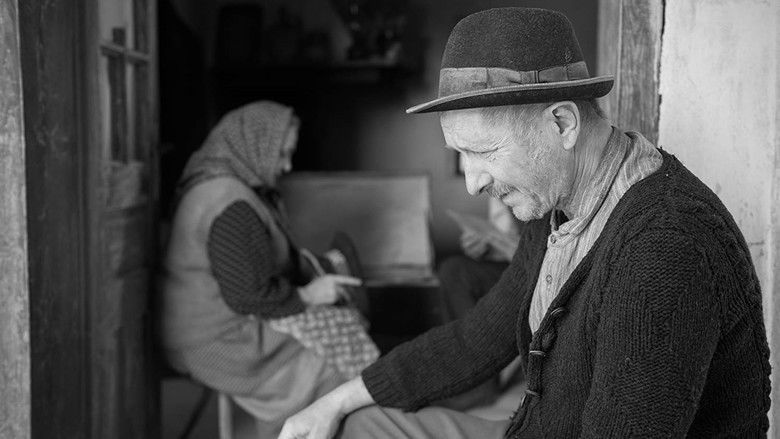 кадр из фильма Moromeţii 2