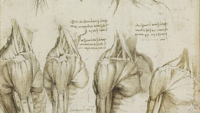 кадр из фильма Leonardův deník 72