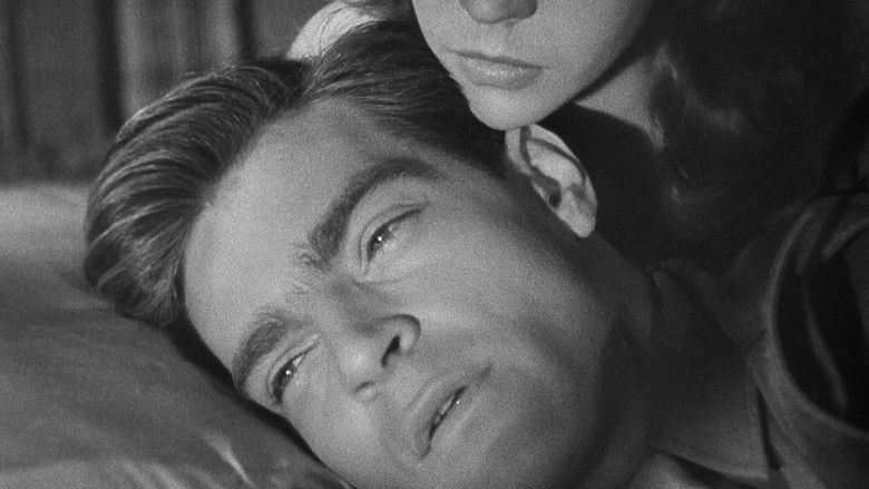 кадр из фильма Земляк