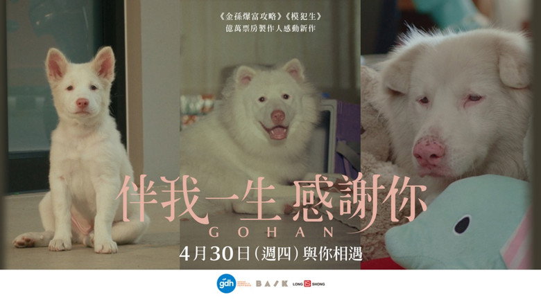 кадр из фильма โกฮัง..หัวใจโกโฮม