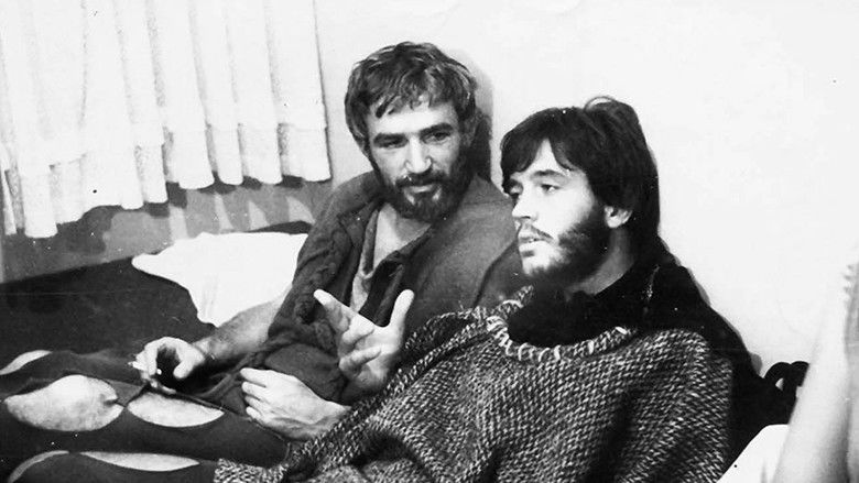 кадр из фильма Приключения Одиссея