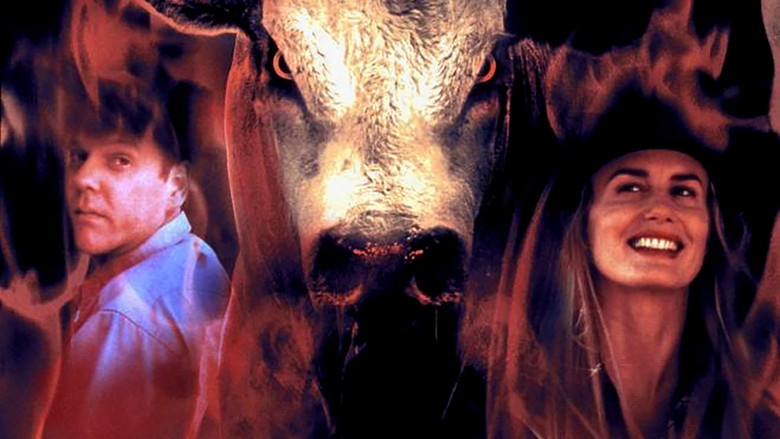 кадр из фильма Cowboy Up