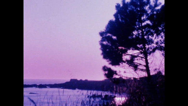 кадр из фильма Matter of Clarity