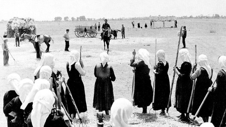 кадр из фильма Το Χώμα Βάφτηκε Κόκκινο