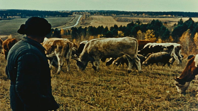 кадр из фильма Письмо из Сибири