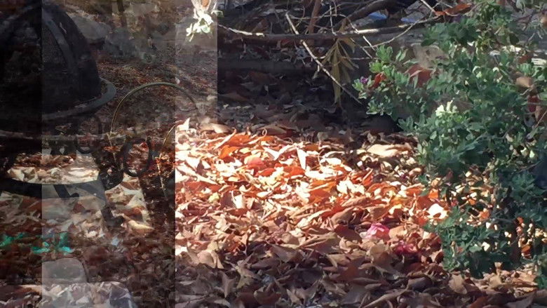 кадр из фильма Ever Reaching Fairly Preachily