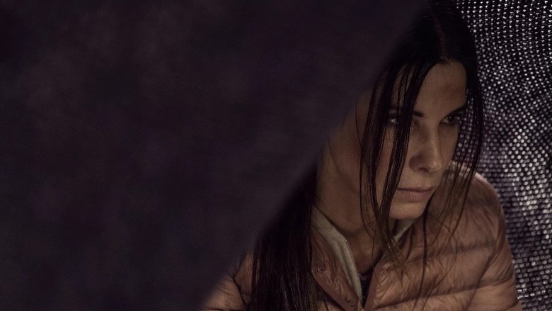 кадр из фильма Птичий короб