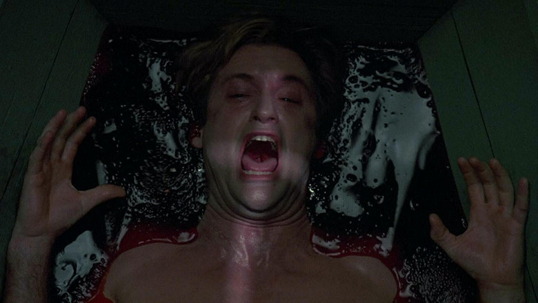 кадр из фильма Змей и радуга