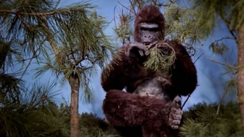 кадр из фильма Ape
